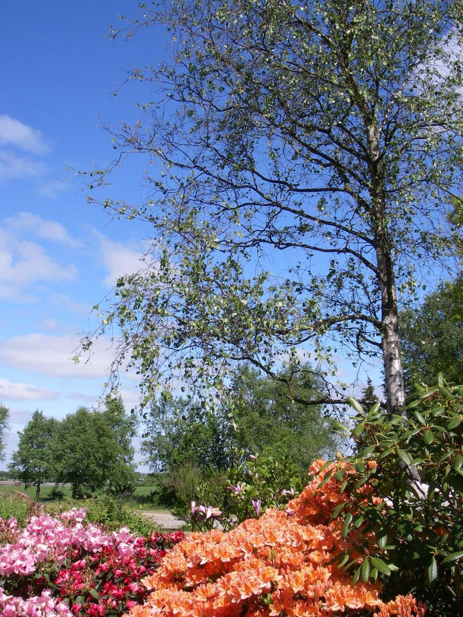 Mikkelborg Kro Rødding Exterior foto
